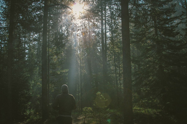 man-walking-in-a-wood