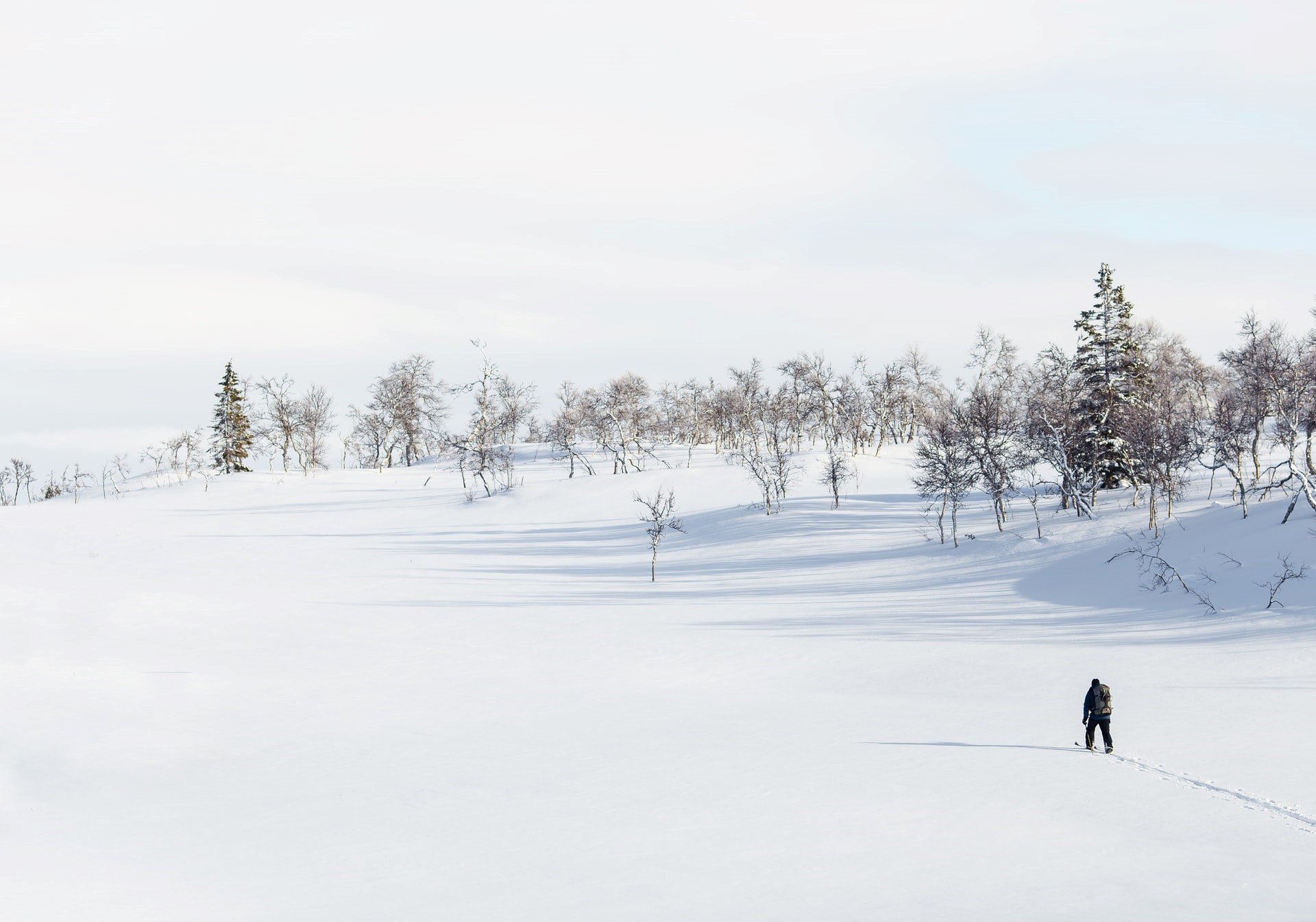 Cross-country skiing Cross-country skiing