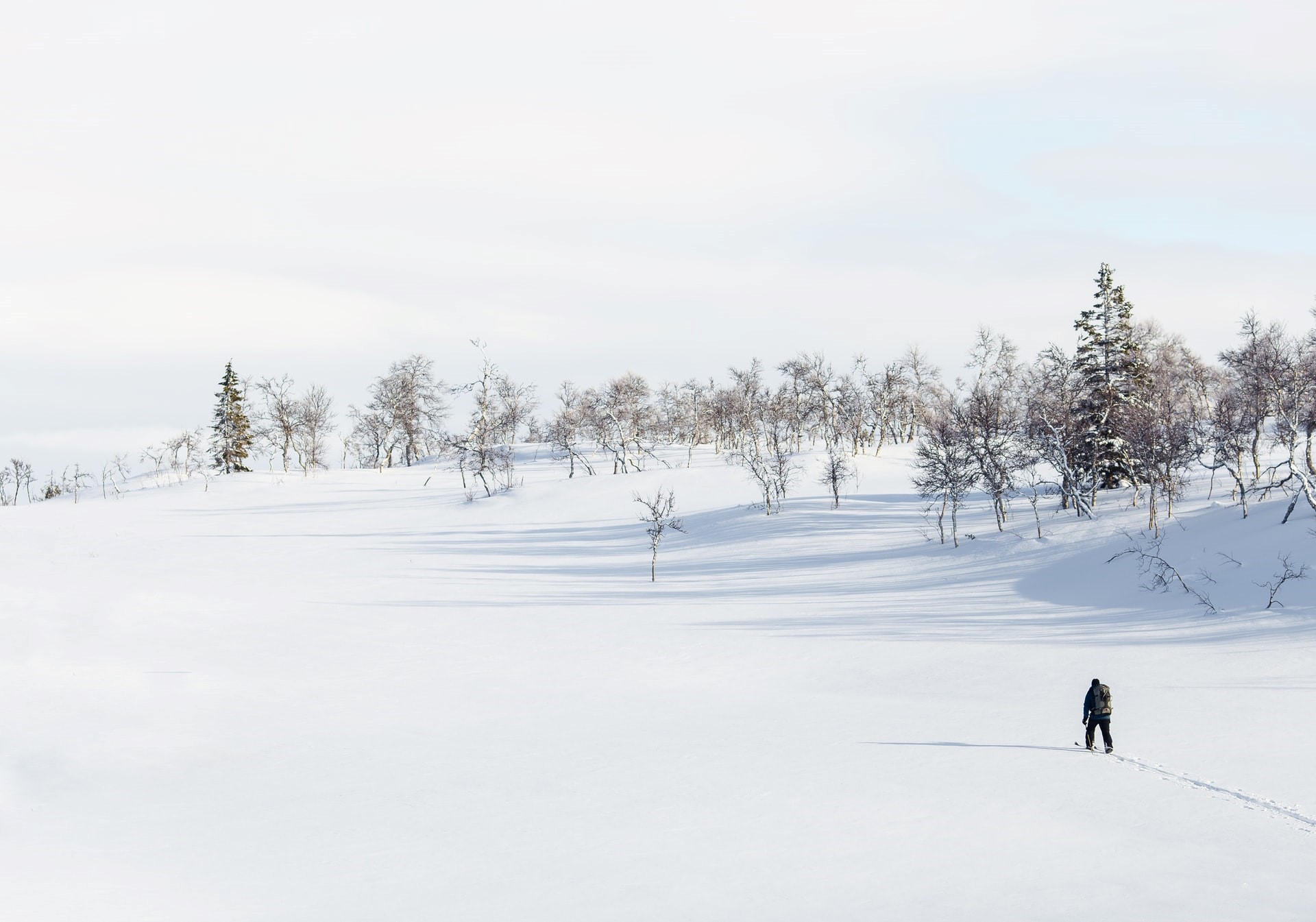 Cross-country skiing