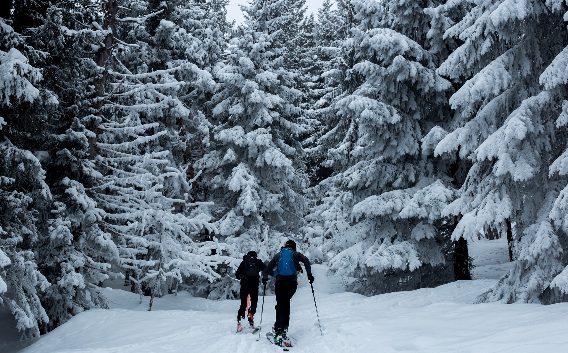 cross-country skiing