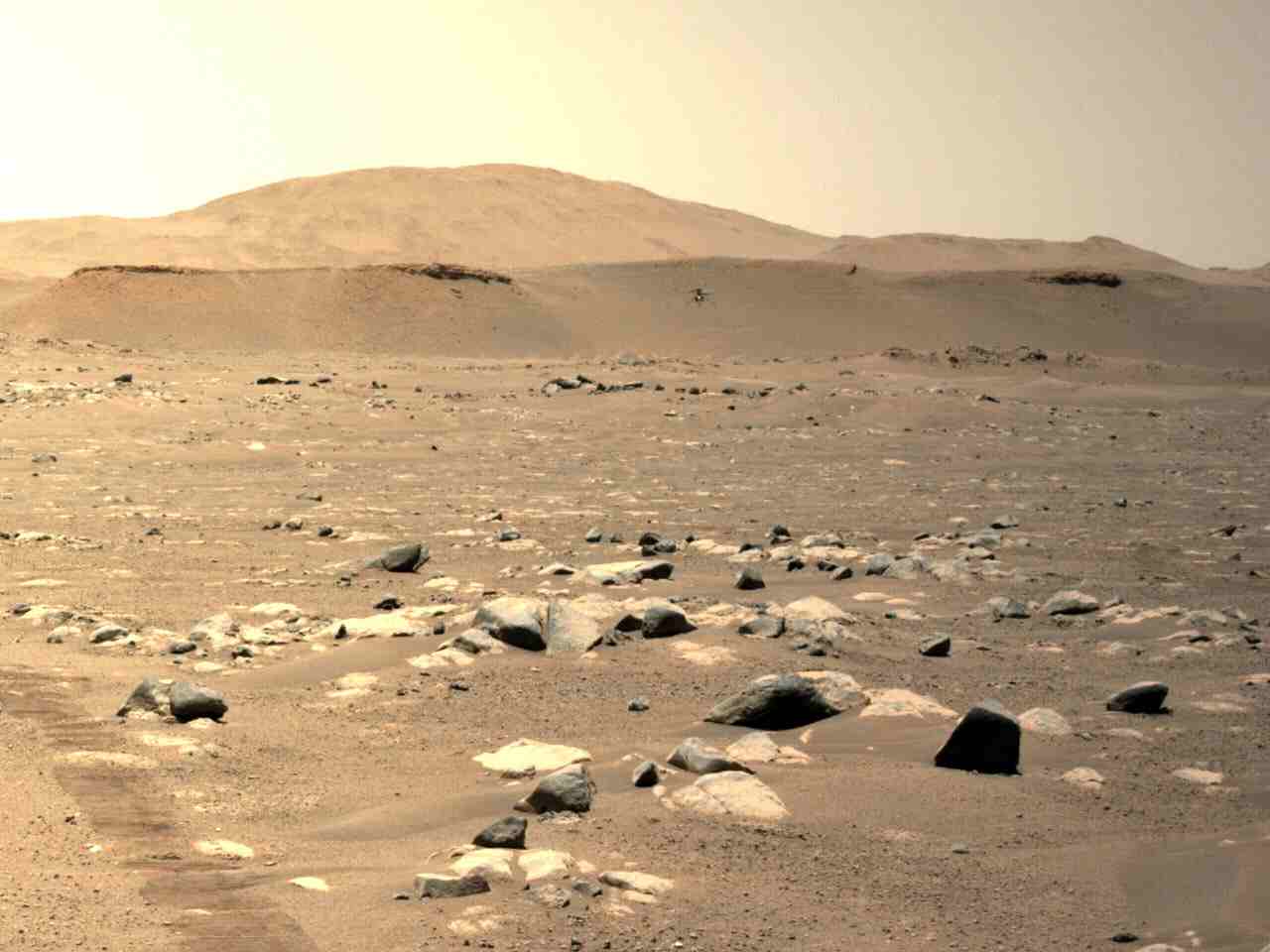 First flight of Curiosity's drone on Mars