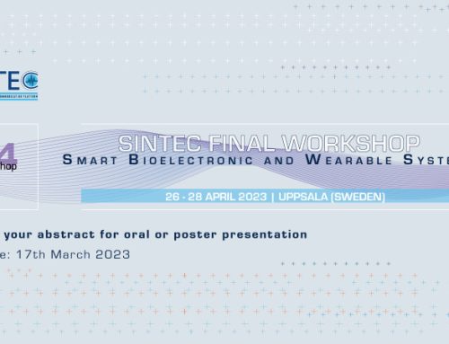 SINTEC Final workshop abstract submission: deadline extended