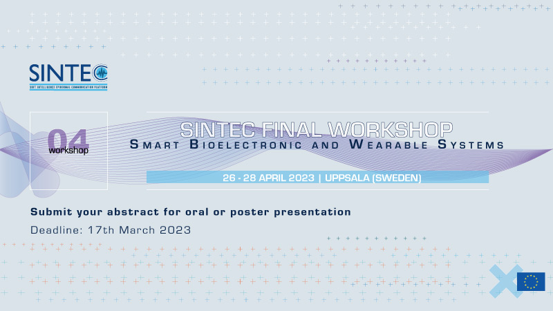 SINTEC Final workshop abstract submission: deadline extended