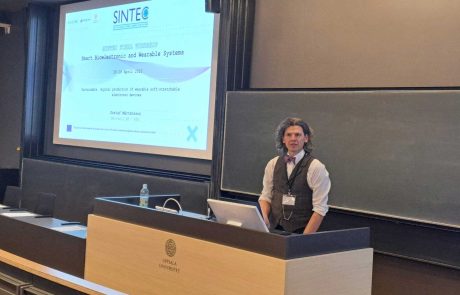 SINTEC-Final-Workshop-Gustaf-Martensson